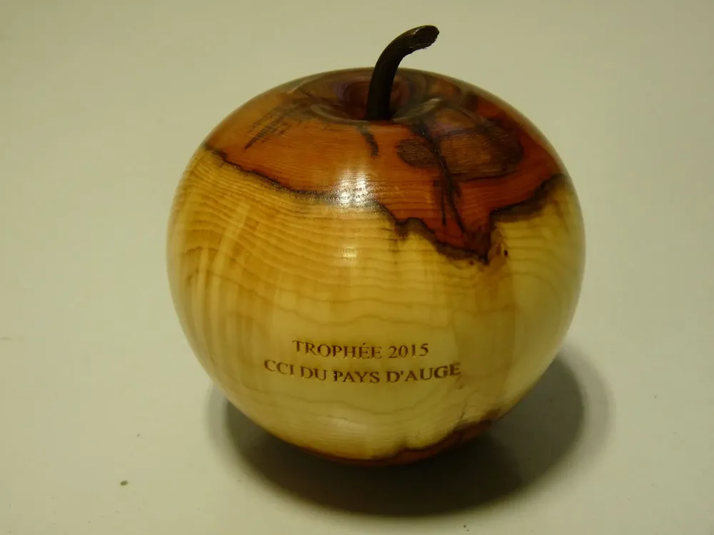gravure laser sur pomme en bois